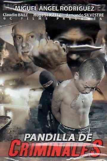 Pandilla de criminales Poster