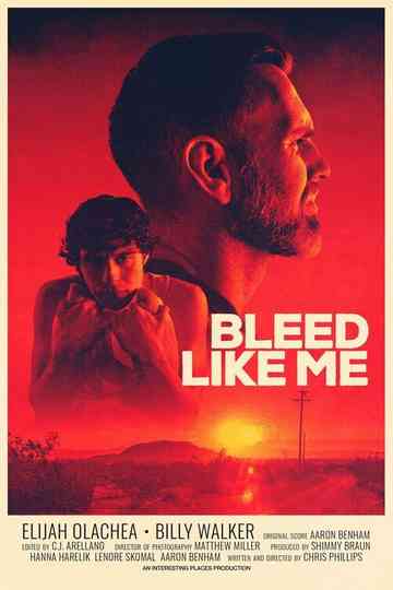 Bleed Like Me Poster