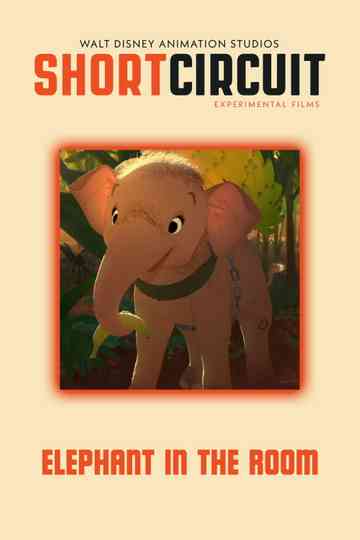 Elephant in the room Poster