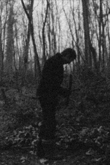 School for Fools Poster