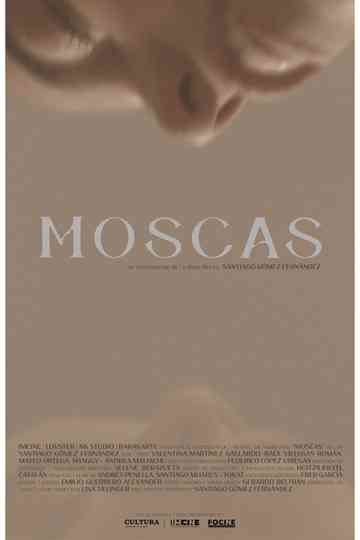 Moscas