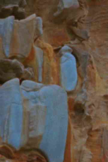 Ancestral Bone Poster