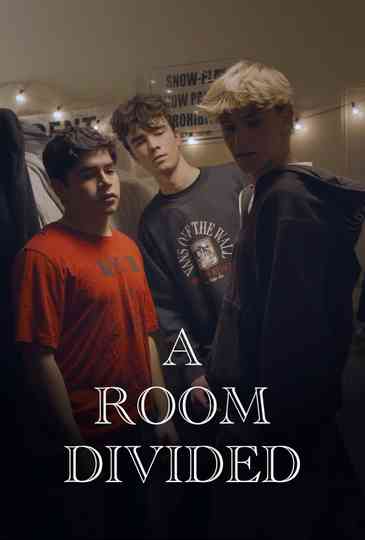 A Room Divided Poster