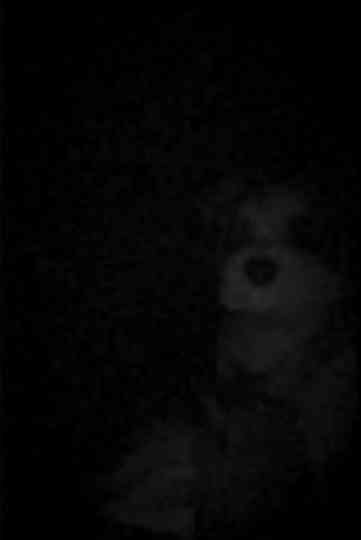 The Voices In FAO's Head Poster