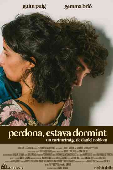 Perdona, estava dormint Poster