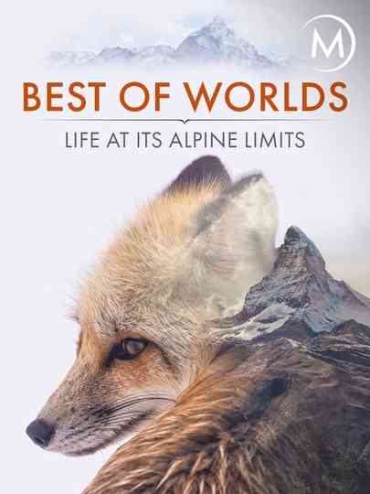 Best of Worlds: Life at its Alpine Limits Poster
