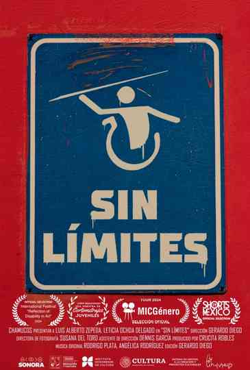No limitations Poster