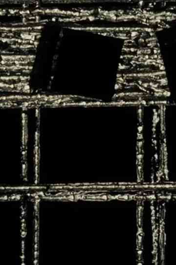 A Black Screen Too Poster