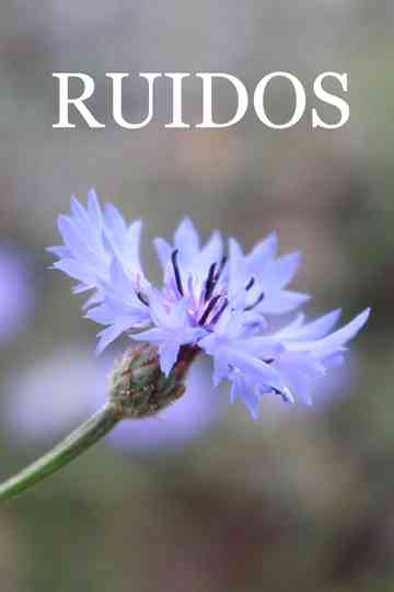 Ruidos Poster