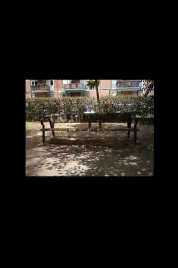 Paseando y recordando Poster