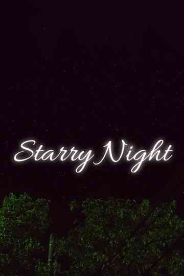 Starry Night Poster