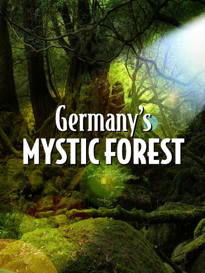 Germany's Mystic Forest