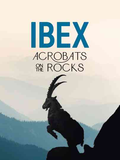 Ibex: Acrobats on the Rocks Poster