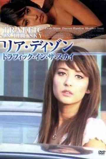 Traffic in the Sky Poster