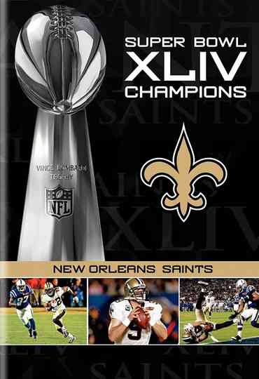 NFL Super Bowl XLIV Champions New Orleans Saints 20082010 Poster