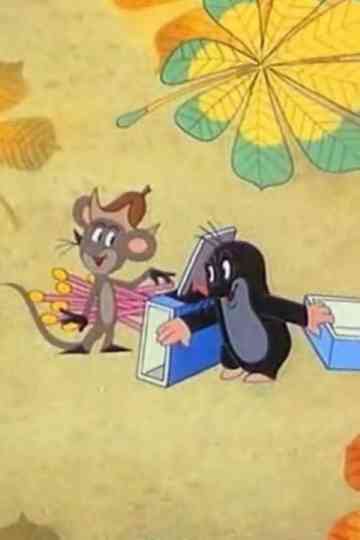 The Mole and the Matches Poster