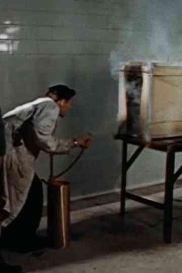 Setting Fires for Science Poster