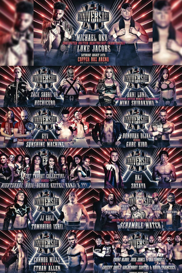 RevPro 12 Year Anniversary Show Poster