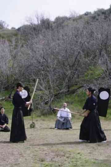 The Final Draw Poster