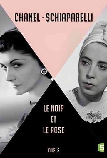 Coco Chanel vs Elsa Schiaparelli Poster
