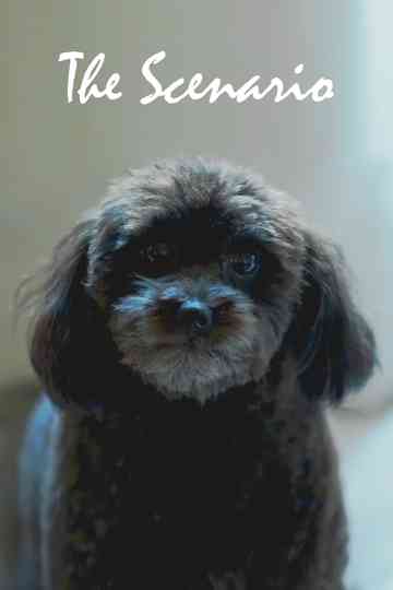The Scenario Poster