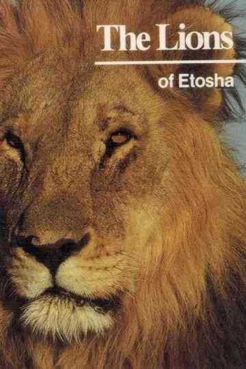 The Lions of Etosha Poster