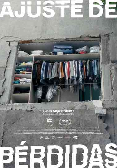 Loss Adjustment Poster