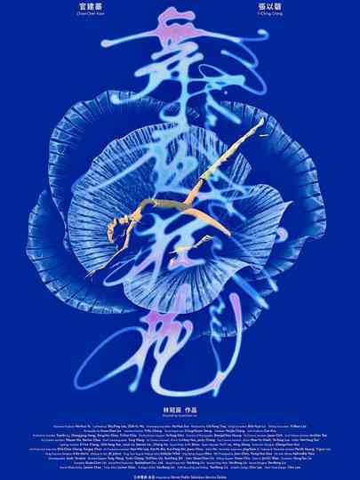 Midnight Valerie Poster