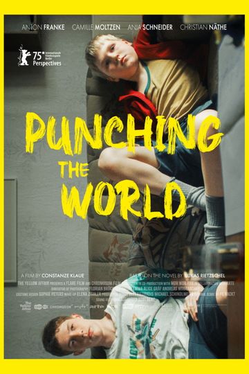 Punching the World