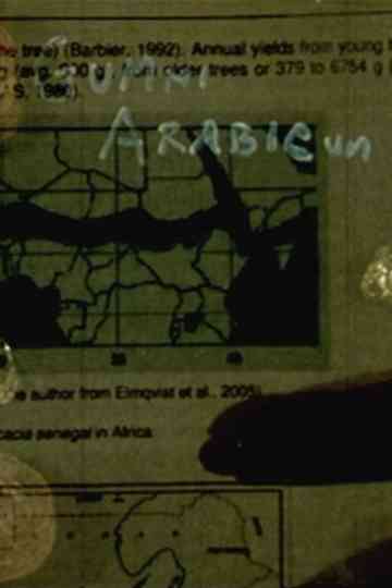 Gummi Arabicum Poster