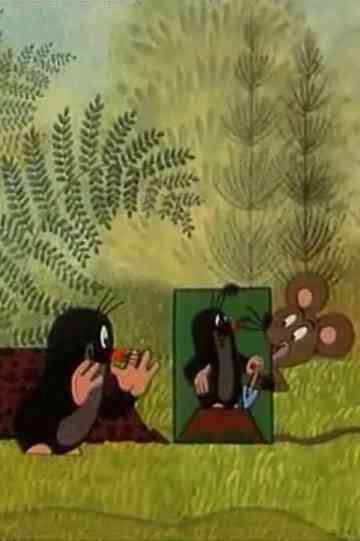 The Mole and the Photographer Poster