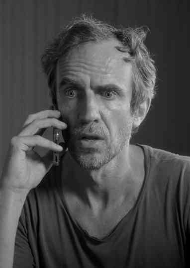 Der Katze ist das alles egal. Poster