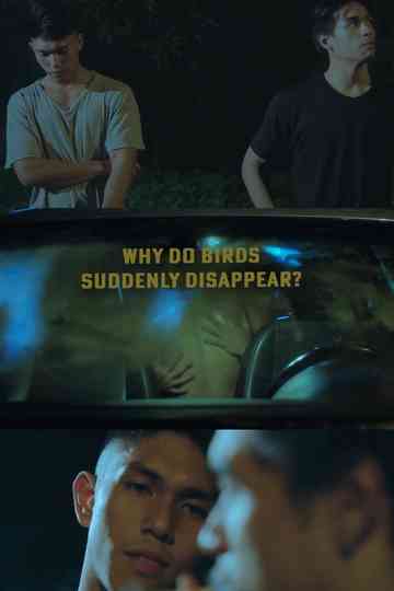 Why Do Birds Suddenly Disappear?