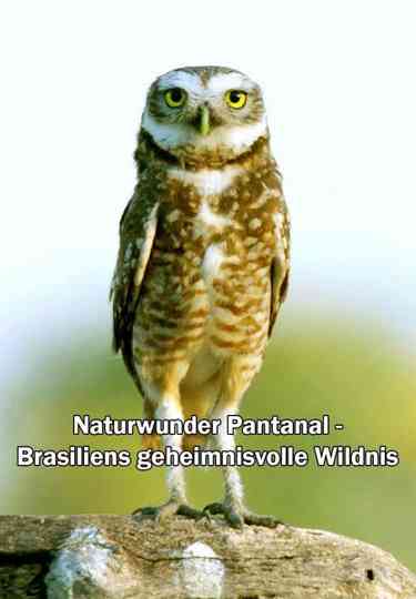 Naturwunder Pantanal - Brasiliens geheimnisvolle Wildnis Poster