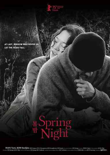 Spring Night poster