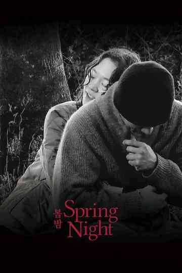Spring Night poster