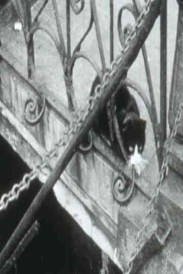 Mulberry Street Poster