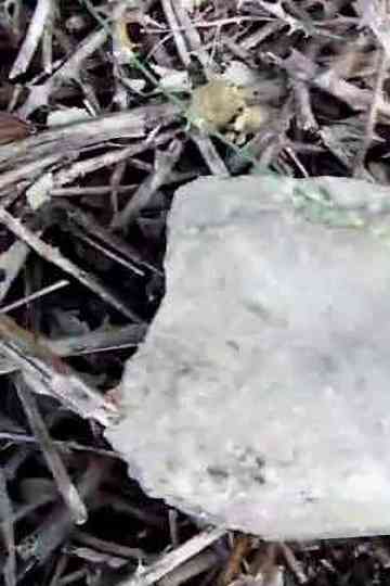 -Pursuit2.: A nessuno importa se viviamo/moriamo Poster