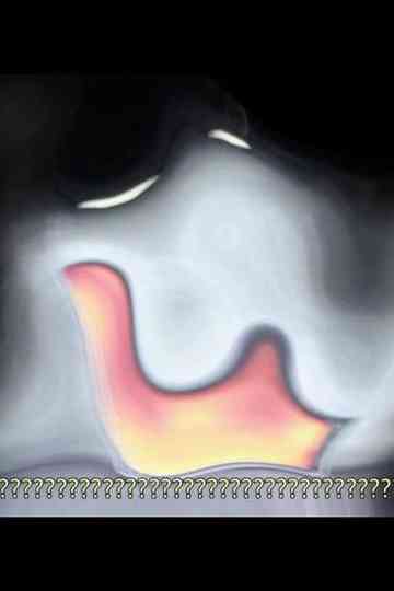 -Pursuit.βeta.: Dai un "OK" per la Serenata Poster