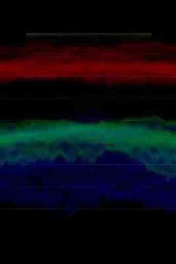 -Pursuit.Lasqua.: 2 di Fiori Poster