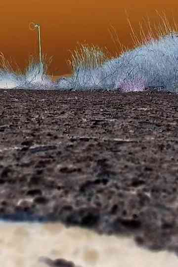 -Pursuit.UPC.: Stessa Moneta Poster