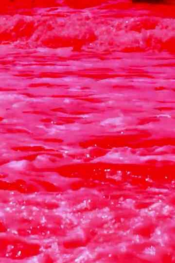 -Pursuit.Bracmano.: Fate Entrare le Formiche! Poster