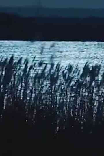 -Pursuit.Strati.Illustri.: Musica dagli Ultimi Giochi & Vocali Errate Poster