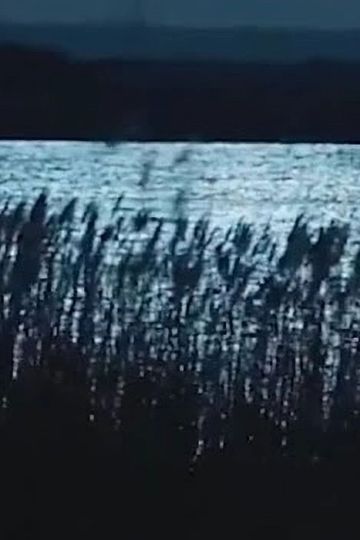 -Pursuit.Strati.Illustri.: Musica dagli Ultimi Giochi & Vocali Errate