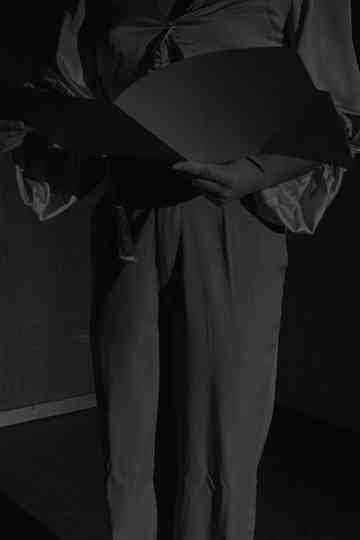 The Horse Head Incident Poster