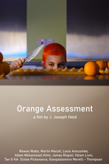 Orange  Assessment Poster