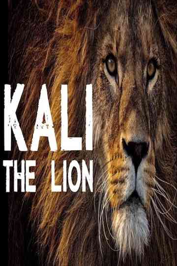 Kali the Lion Poster