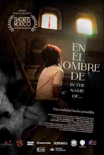 In the name of... Poster