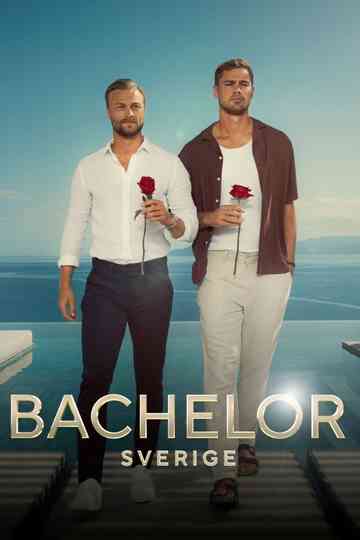 Bachelor Sweden Poster
