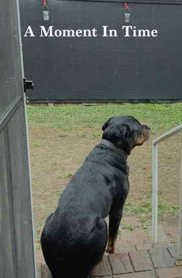 A Moment In Time Poster